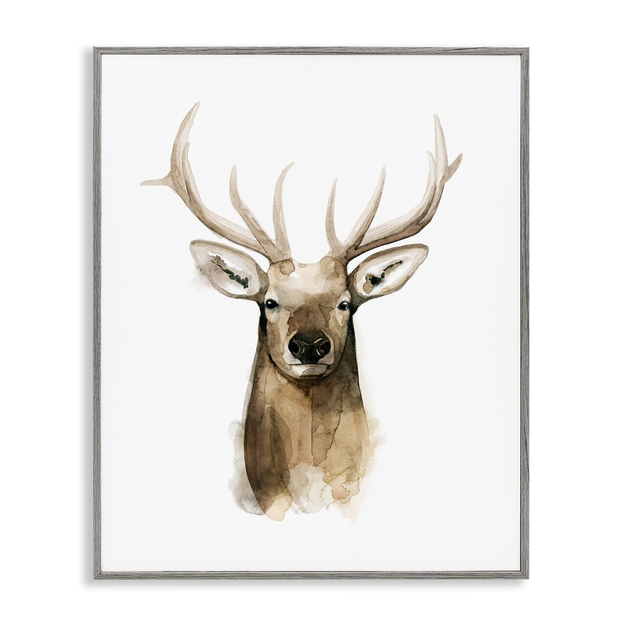 Stupell Industries Deer Portrait Watercolor Framed Giclee Art